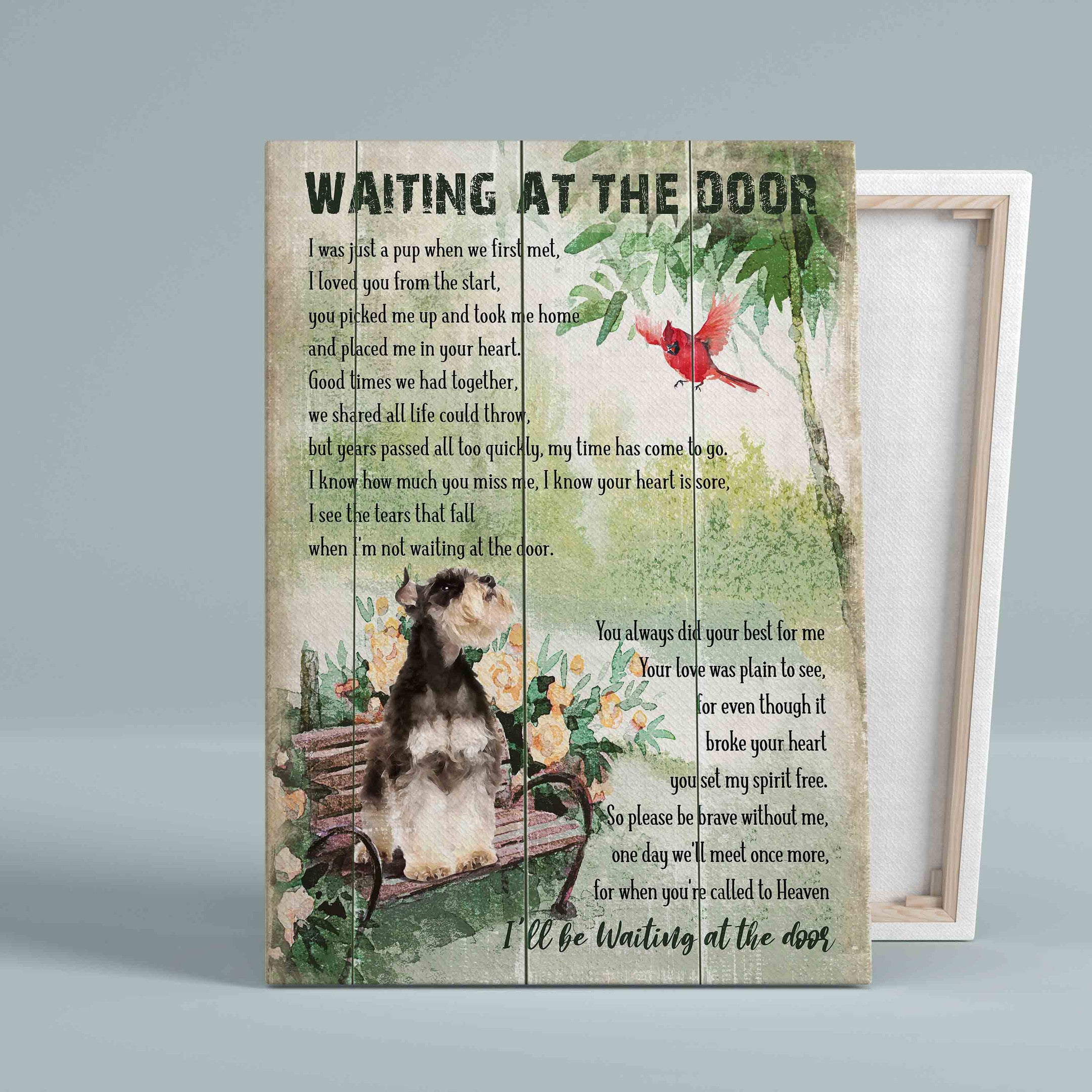 Waiting At The Door Canvas, Miniature Schnauzer Canvas, Red Cardinal Canvas, Dog Canvas, Gift