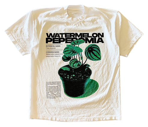 Watermelon Peperomia v1 Tee Shirt Outfit N297, Shirt Outfit Idea