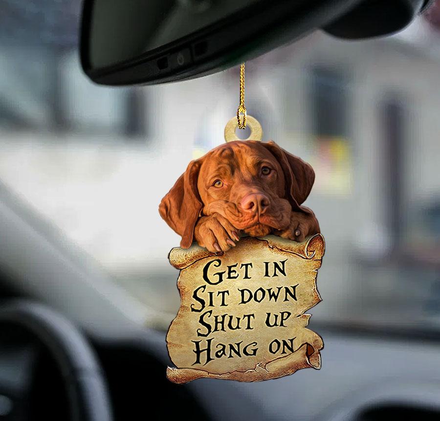 Vizsla Get In Two Sided Ornament