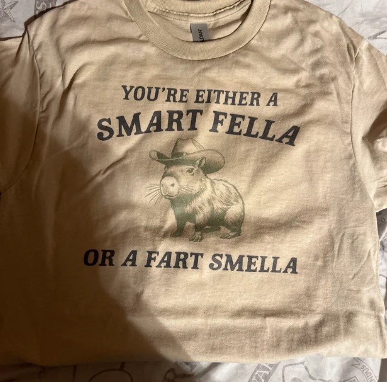 You Are Either a Smart Fella Or a Fart Smella Cabybara Shirt Outfit, Shirt Outfit Idea